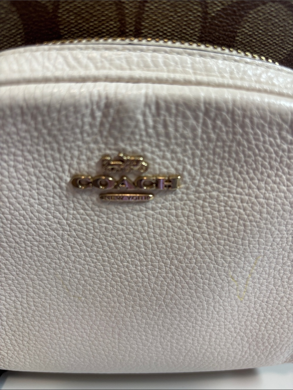 Coach Signature Brown & Chalk large Backpack and wallet